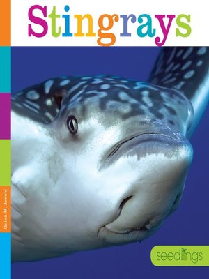 cover image of Stingrays